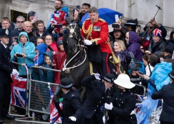 Video – Kali jashtë kontrolli në paradën e mbretit, çfarë ndodhi