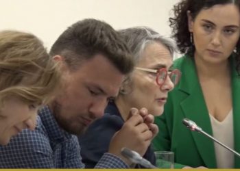 ‘Pasaportat e Arta’, Ambasadorja franceze: Djalli fshihet në detaje