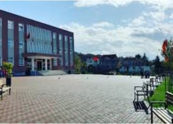 Gramsh/ Qëlloi për vdekje bashkëmoshatarin, policia jep detaje