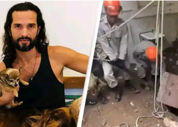 E RËNDË/ Gjendet në një valixhe druri trupi i aktorit të njohur