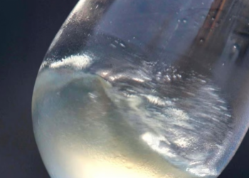 Ja pse flluskat e shampanjës ngjiten në vijë të drejtë