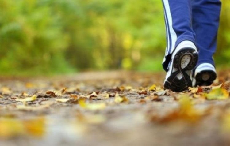 Ecja e ngadaltë, shenjë e rëndësishme për shëndetin tuaj