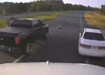 Ndaloi për të ndihmuar breshkën, shkakton kaos në autostradë (VIDEO)