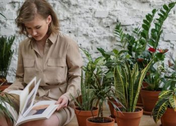 Duke rritur këto bimë, do të shpëtoni nga mushkonjat