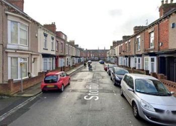 Iu gjetën në banesë 212 bimë kanabisi, dënohet me 9 muaj burg shqiptari/ Emri