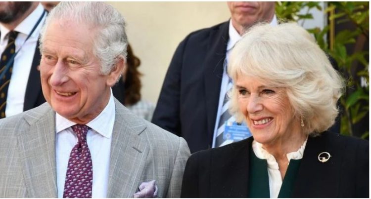 Plaga në trupin e tij që Mbreti Karl e mban të fshehur