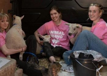 VIDEO/ Tre vajza i ‘vjedhin’ delet Mbretit Charles III