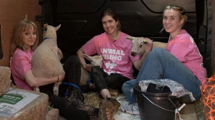 VIDEO/ Tre vajza i ‘vjedhin’ delet Mbretit Charles III