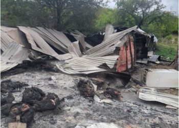 Zjarri përfshin kasollën e bagëtive në Skrapar, digjen 18 krerë