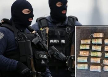 17 shqiptarë në pranga, Europol shkatërron bandat e drogës