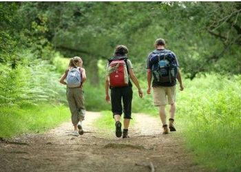 Ecja e ngadaltë, shenjë e plakjes së shpejtë