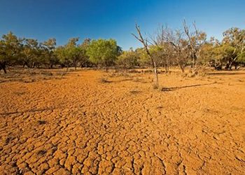OKB: Po vjen “El Nino”, bota të përgatitet për temperatura rekord