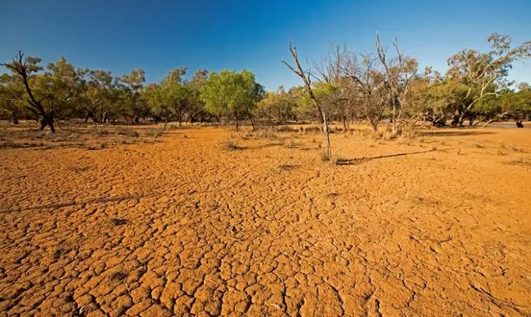 OKB: Po vjen “El Nino”, bota të përgatitet për temperatura rekord