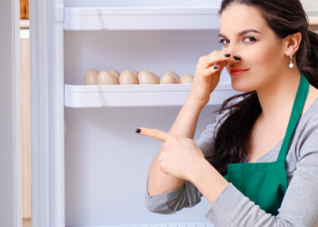 Çfarë duhet të keni parasysh kur pastroni frigoriferin