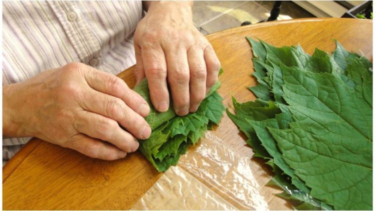 Gjethet e rrushit, si t’i përdorni kundër reumatizmës