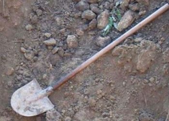 Koplik/ E goditi me lopatë në kokë 56-vjeçarin, arrestohet autori