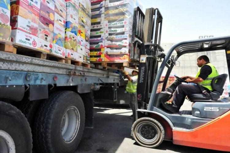 Bie importi i ushqimeve, shkak emigracioni dhe ulja e konsumit