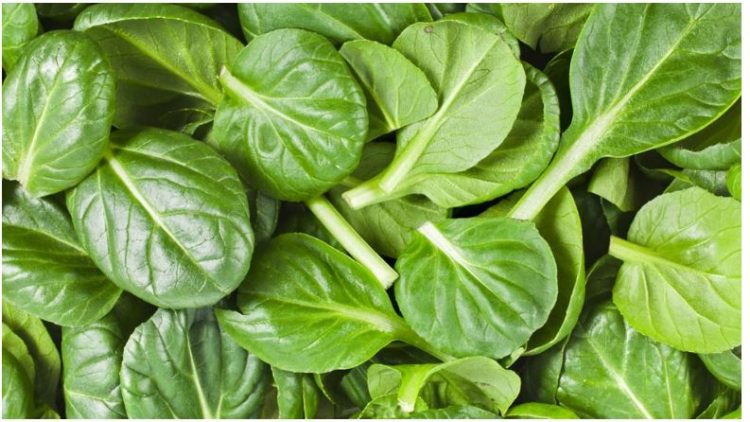 Ja ushqimet më të mira që heqin mërzitjen