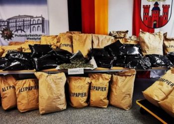 Kultivonin kanabis, goditet banda shqiptare në Gjermani