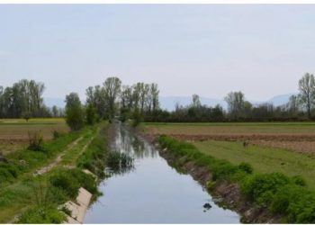 Emri+Foto/ Gjendet i mbytur në kanal një 59 vjeçari nga Lushnja