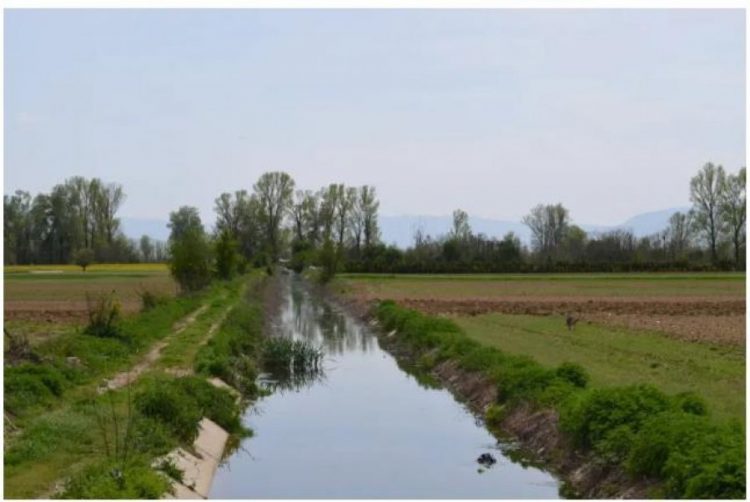 Emri+Foto/ Gjendet i mbytur në kanal një 59 vjeçari nga Lushnja