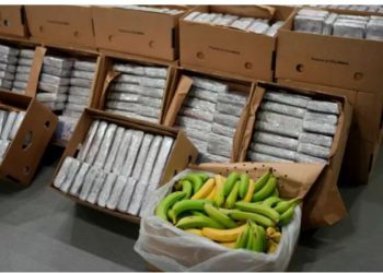 Kapet kokainë me vlerë 100 milionë euro në Portugali