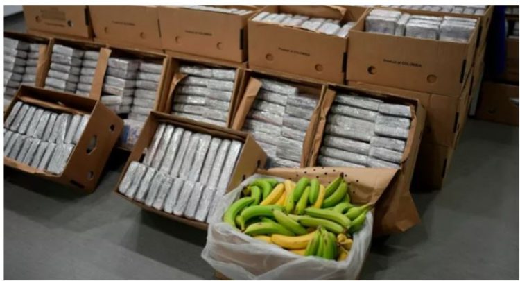 Kapet kokainë me vlerë 100 milionë euro në Portugali