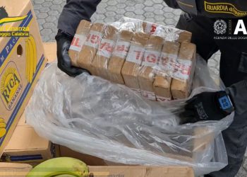 Kapen 3 ton kokainë të fshehura brenda bananene në portin italian