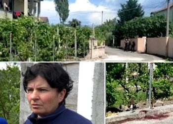 Burri i vrau motrën, dëshmia: Ajo nuk i hapi telefonin