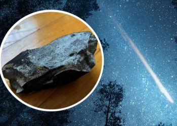 VIDEO/ Meteoriti godet një shtëpi në New Jersey