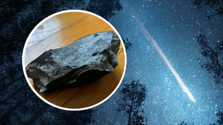 VIDEO/ Meteoriti godet një shtëpi në New Jersey