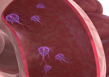 Inteligjenca Artificiale gjen zgjidhje ndaj parazitit vdekjeprurës