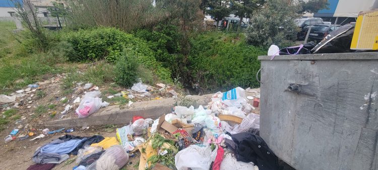 Plehrat pushtojnë Durrësin, ‘pastruesja’ Sako mburret për pastërti