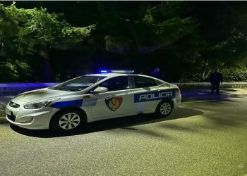 Ç’ndodhi pas mesnatës në Pukë? Policia jep detaje: Autori nga Tirana