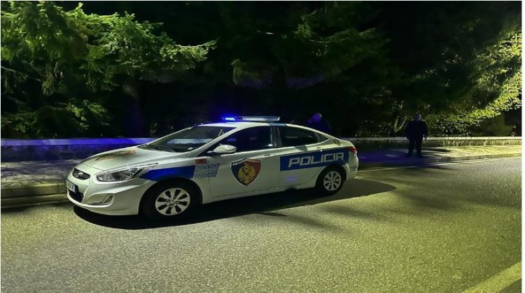 Ç’ndodhi pas mesnatës në Pukë? Policia jep detaje: Autori nga Tirana