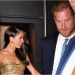 Ndjekja nga paparacët që desh rezultoi fatale për Princ Harry dhe Meghan
