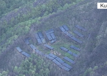 Zbulohen 31 sera me kanabis, arrestohet një person/ Detajet nga operacioni