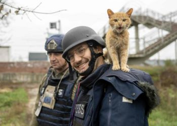 Franca nis hetim për vdekjen e gazetarit të AFP