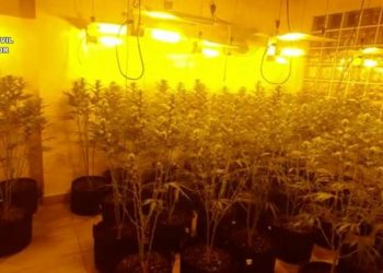 Goditet banda e drogës në Spanjë, drejtohej nga 2 shqiptarë