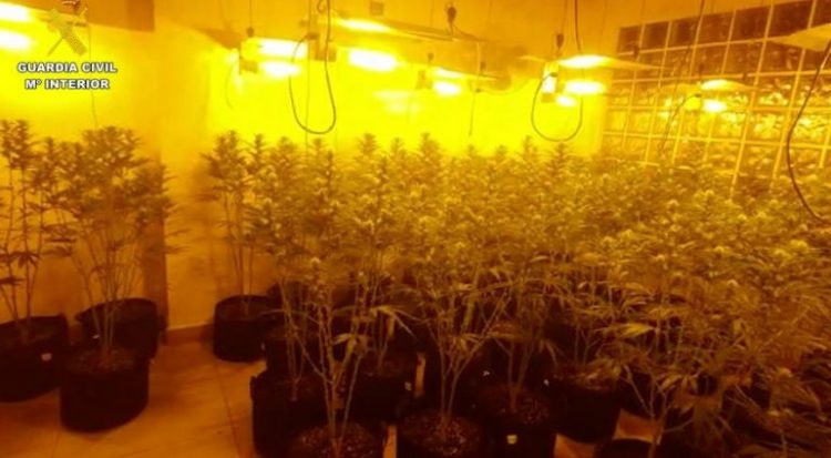 Goditet banda e drogës në Spanjë, drejtohej nga 2 shqiptarë