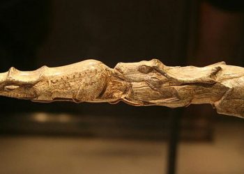 Studimi gjenetik: 17,000 vjet më parë, emigrantët nga Ballkani kanë prodhuar kulturën epigravetiane