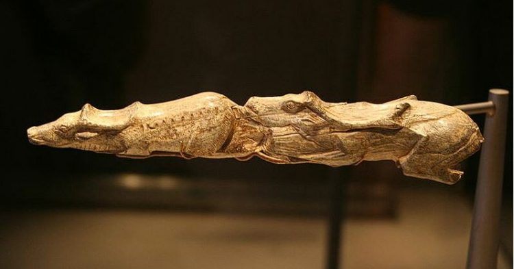 Studimi gjenetik: 17,000 vjet më parë, emigrantët nga Ballkani kanë prodhuar kulturën epigravetiane