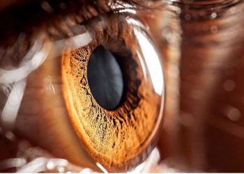 Pse njerëzit me sy kafe të bëjnë për vete