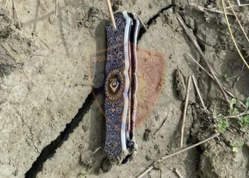 Detajet, ja si ndodhi krimi i rëndë në Gramsh