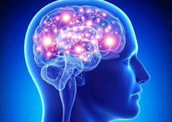 Ja zakonet që e dëmtojnë trurin e njeriut