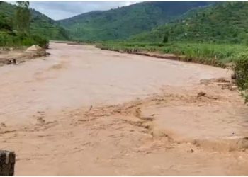 115 të vdekur nga vërshimet