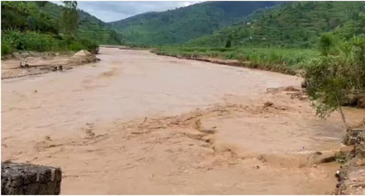 115 të vdekur nga vërshimet