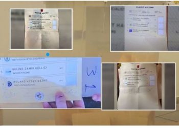 Në Shkodër votojnë Luizin, fletët e votimit që u bënë ‘meme’