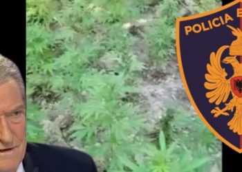 Kanabis dhe manipulim votash/ Si e denoncoi Berisha zv.drejtorin e policisë dhe Pëllumb Gjokën