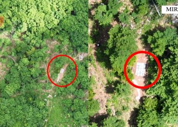 Asgjesohen 1664 fidanë kanabis, arrestohen 2 persona/ Emrat